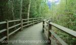 Tahquamenon Falls State Park